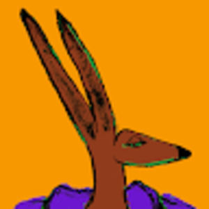 Meet your Posher, Amy patricia